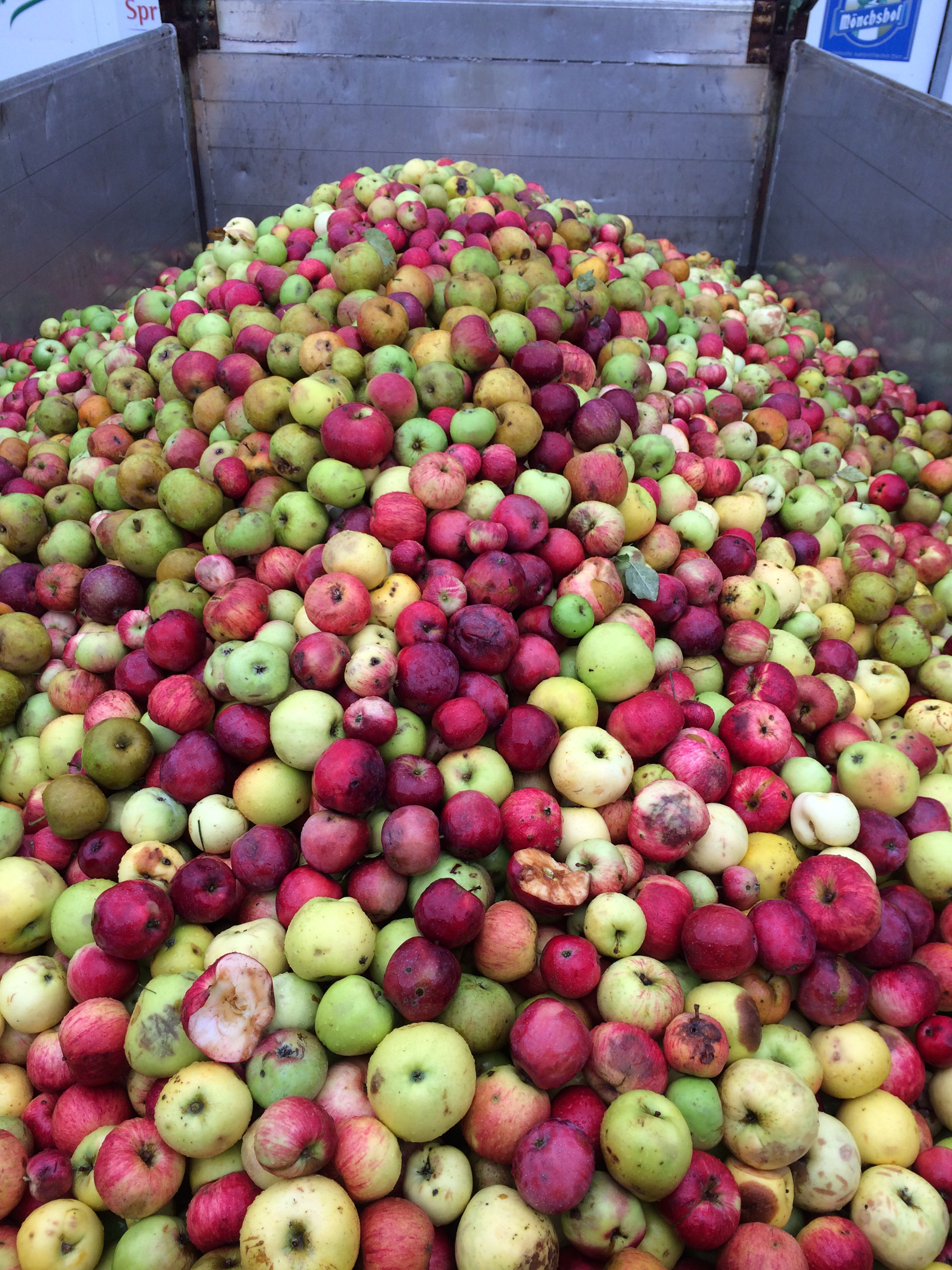 Obstannahme